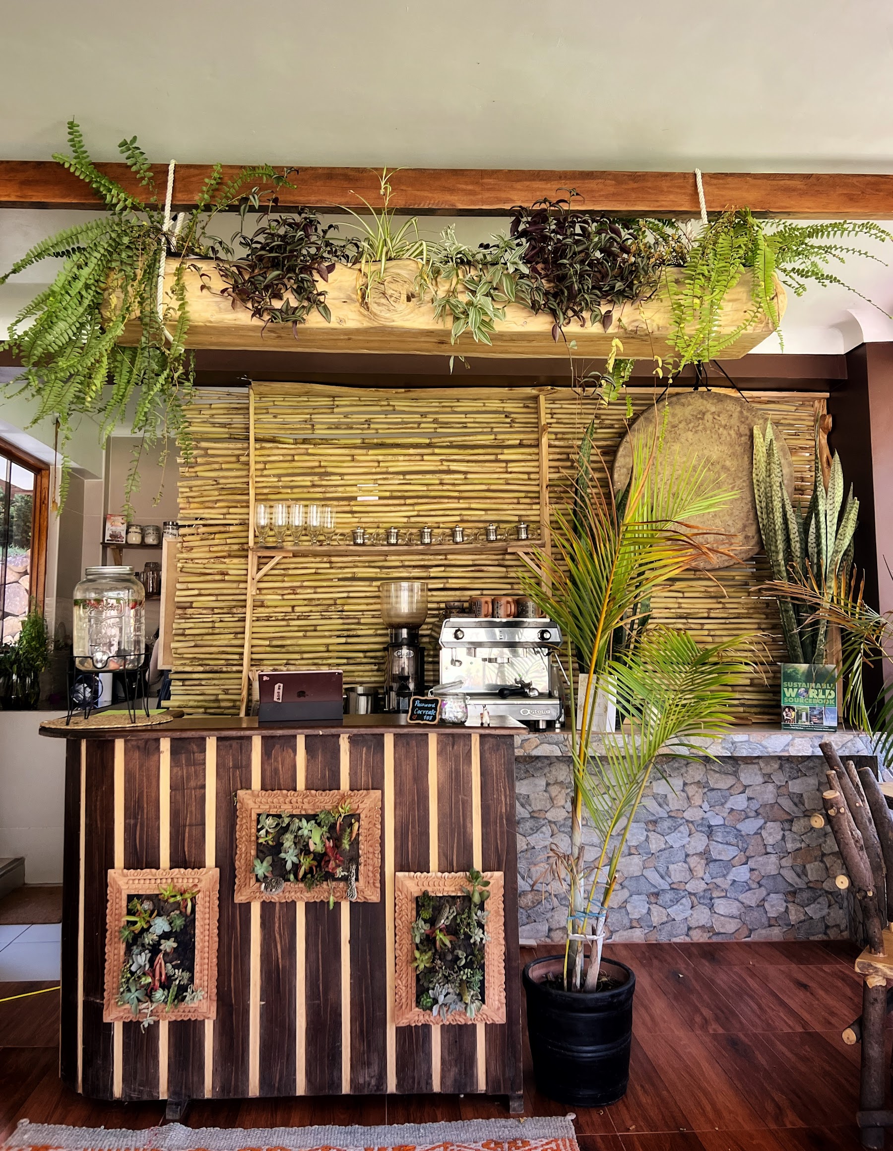 Shared spaces at Psychic Garden