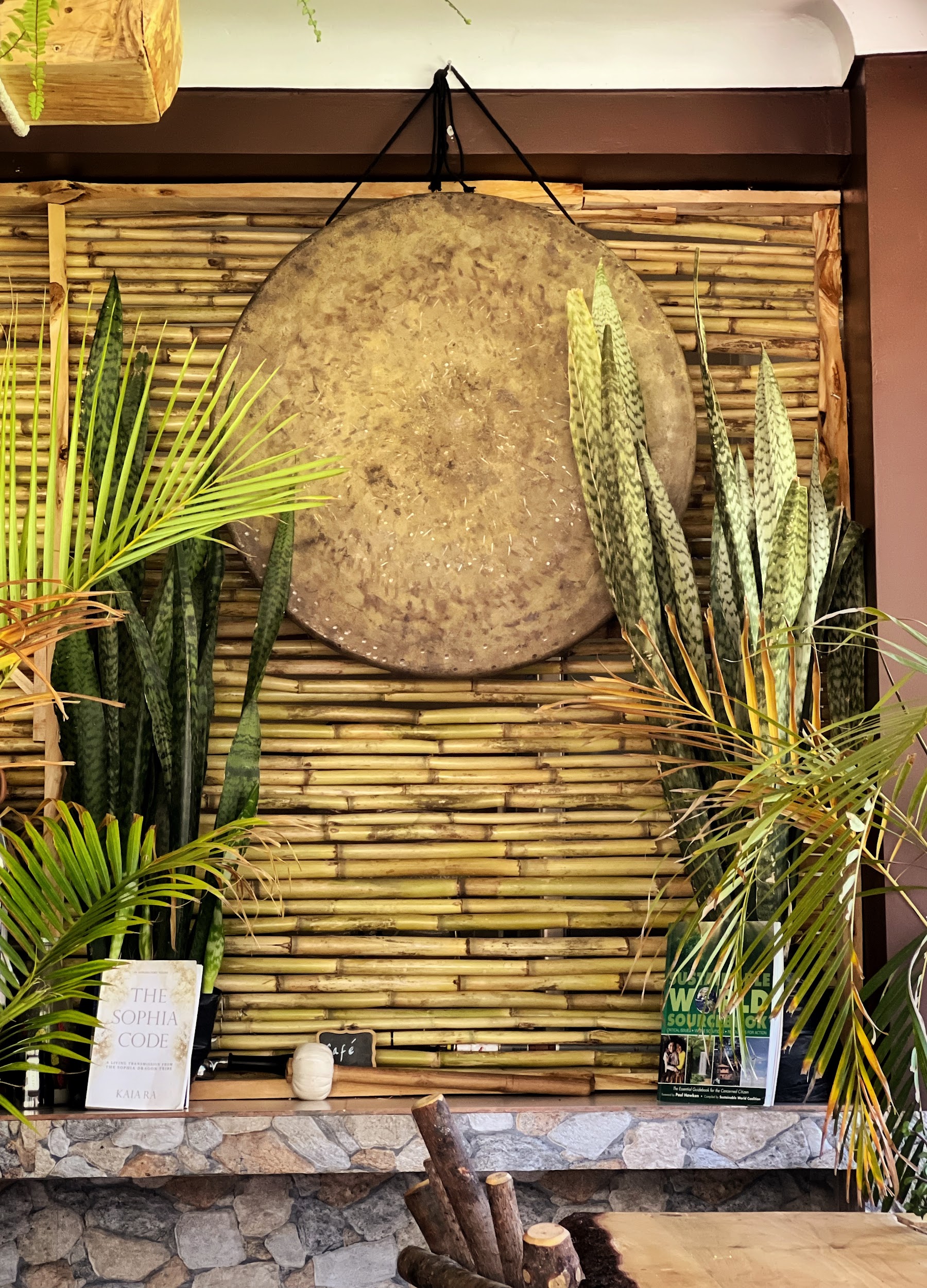 A bronze gong framed by palms and cactus